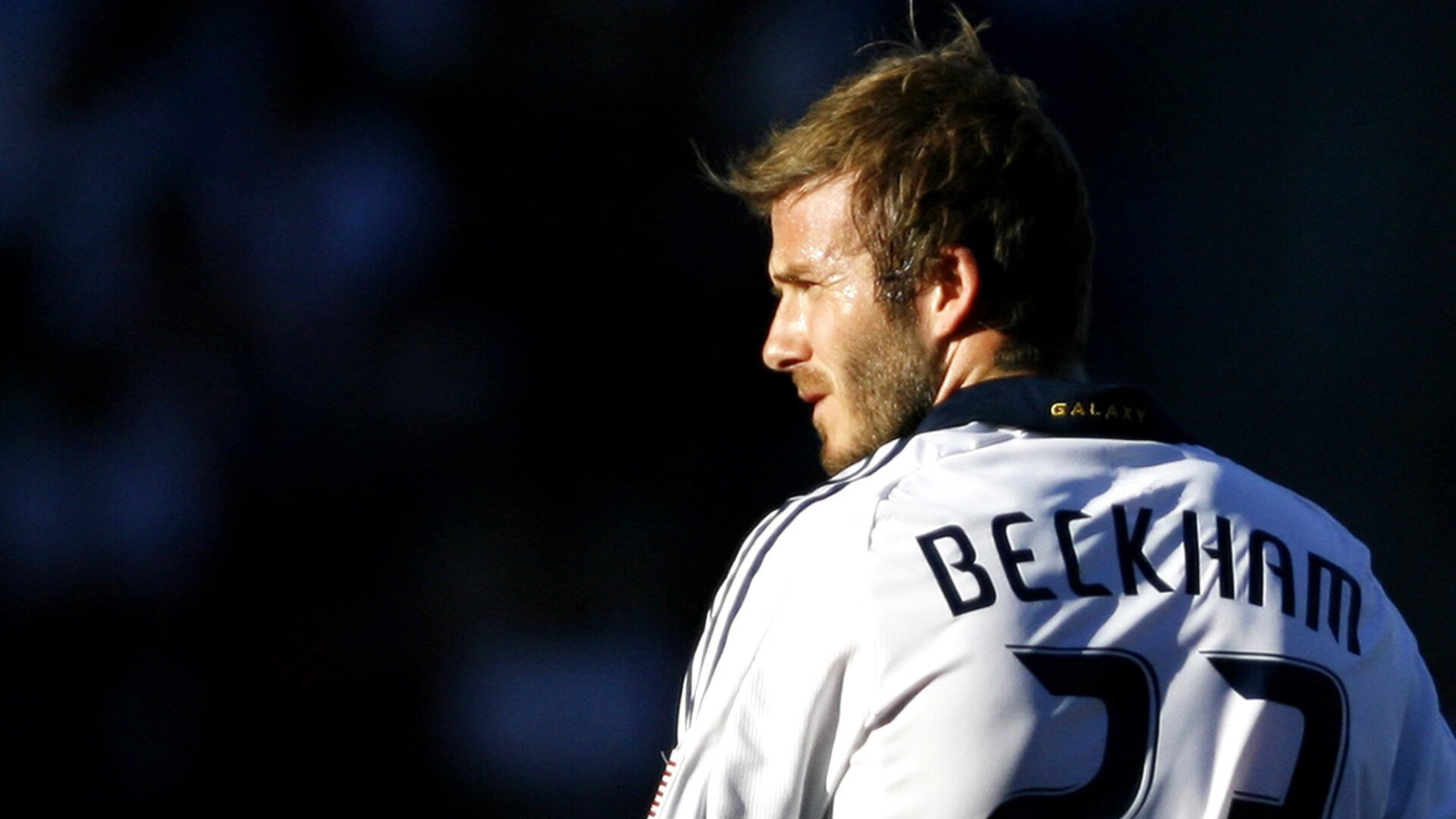 伊普斯维奇城新援融入迅速，提升球队实力，伊普斯维奇队徽